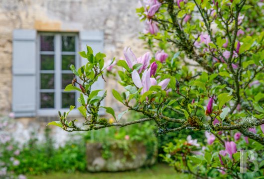 En Normandie, à Falaise, une maison des 17e et 18e siècles au cœur d’un quartier historique - photo  n°35
